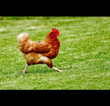 Photo by James Wainscoat on Unsplash