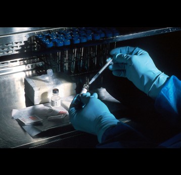 Photo by National Cancer Institute on Unsplash