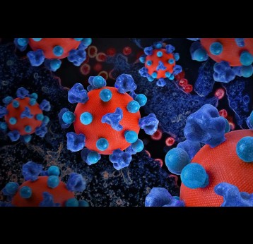 Photo by National Institute of Allergy and Infectious Diseases on Unsplash