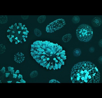 Photo by National Institute of Allergy and Infectious Diseases on Unsplash