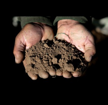 A soil sample. In Kerala, India, a new microbiome research hub aims to identify key soil microbes for sustainable solutions to health and environmental challenges. Copyright: Victor Dueñas Teixeira on Unsplash