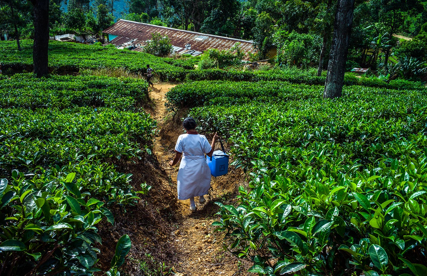 Les jumeaux de la transition : Le Sri Lanka et le Timor Leste font équipe pour une vaccination durable