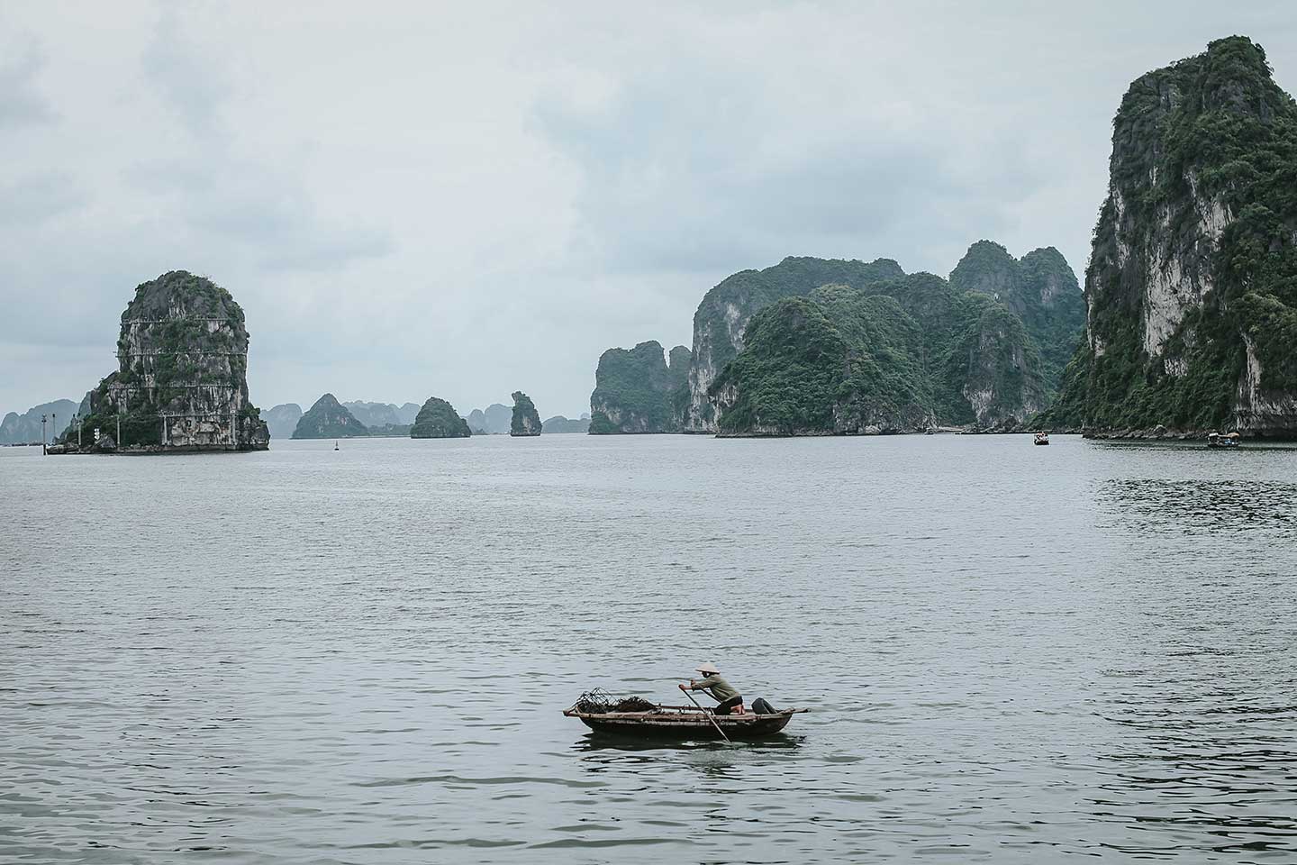 Photo by Vu M. Khuee on Unsplash