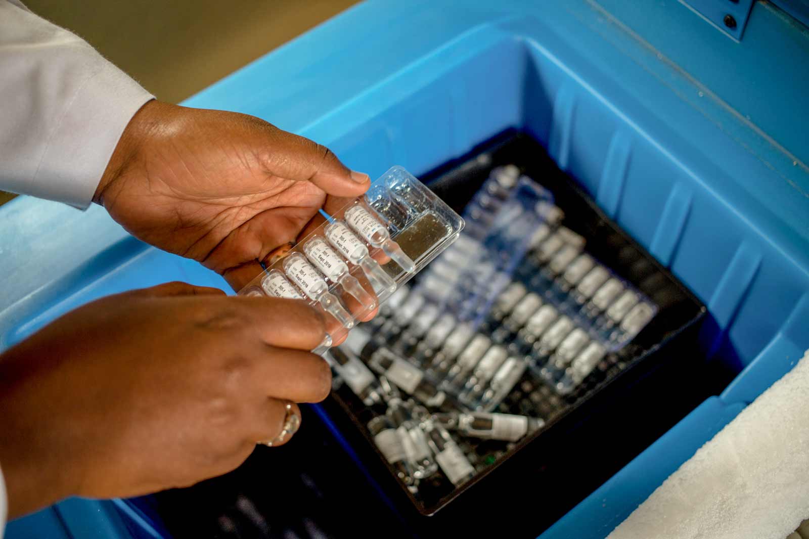 Vaccine vials being put in fridge Vaccine vials being put in fridge