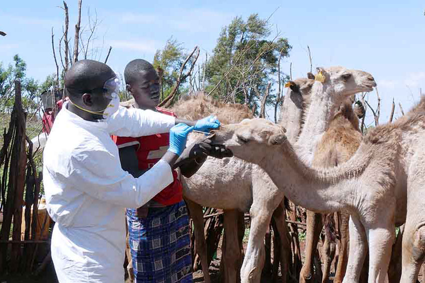 Keep focus on emerging infections, Disease X: analysts