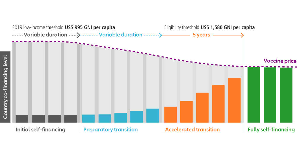 Gavi co-financing model 2019