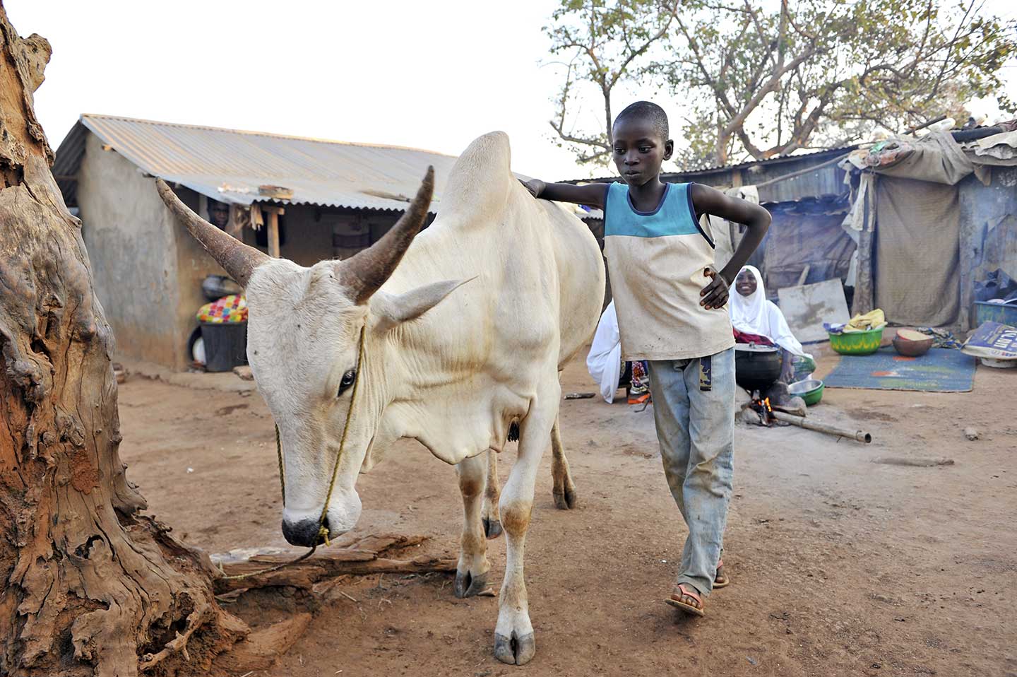 NIGERIA: The introduction of the pentavalent vaccine in Nigeria, is estimated to save the lives of at least 30,000 children from death as a result of vaccine preventable disorders every year. Nigeria has also introduced the pneumococcal vaccines, helping to protect against pneumonia, still the world’s biggest killer of children under the age of five. Credit: Adrian Brooks