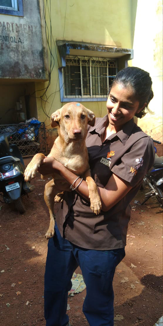 Dr Gowri Yale, scientific manager for Mission Rabies, is a veterinarian with a PhD in rabies epidemiology.