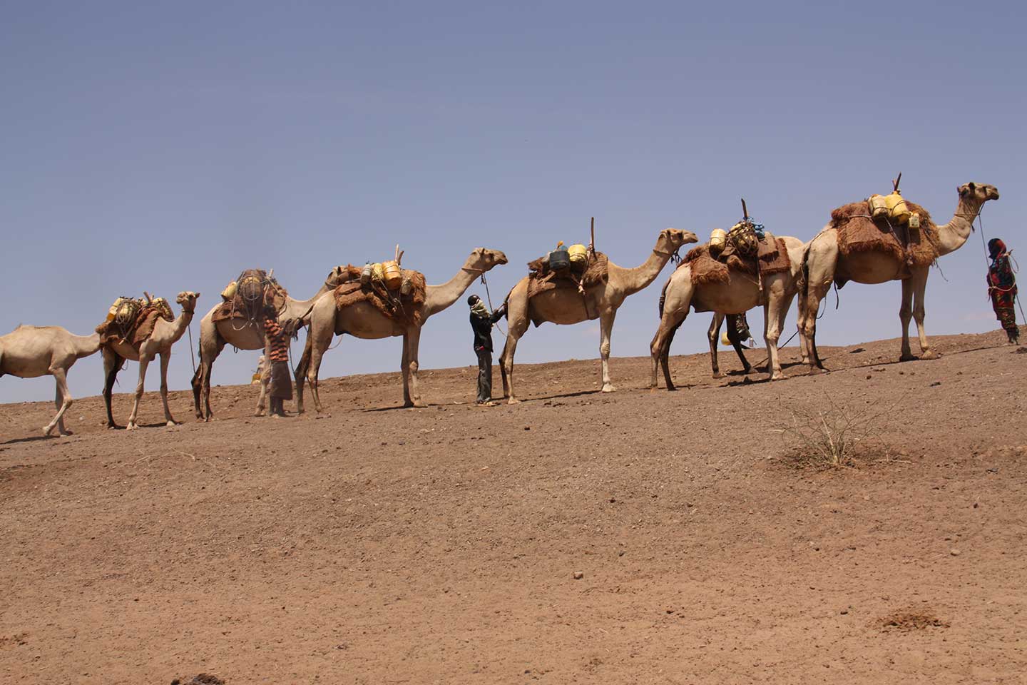 Caravan-of-Camel-mobile-clinic_h2.jpg Caravan-of-Camel-mobile-clinic_h2.jpg