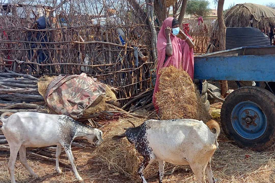 Mrs Hawo Godana standing near her homestead is among women in Garbatula village who started wearing masks following orders from traditional system.