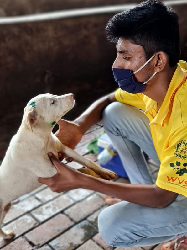 The Mission Rabies field team are vaccinators first, but they are also trained to safely handle rabies-infected dogs. All staff members are vaccinated, and regularly undergo titre testing to evaluate their baseline immunity against rabies. Credit: Mission Rabies