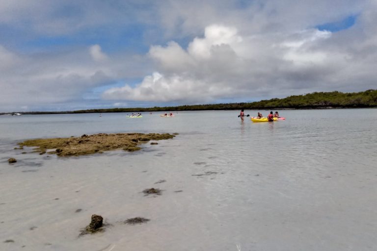 Tortuga Bay is one of the most popular tourist beaches in the Galápagos Islands. Image by Michelle Carrere.