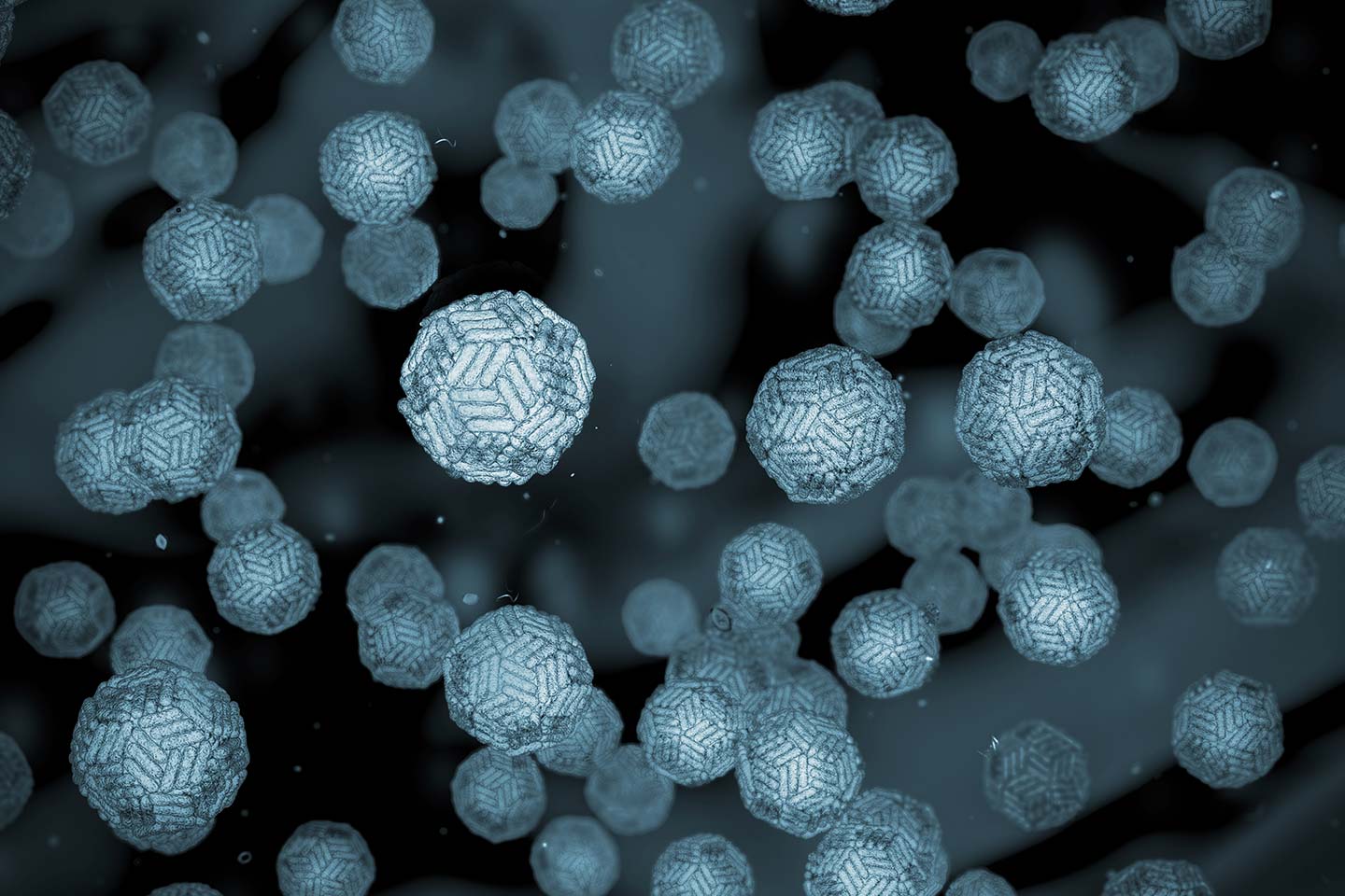 Flavivirus