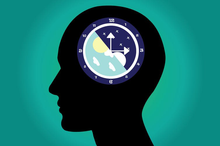 Our body clock has evolved over millions of years to help us survive. kanyanat wongsa/ Shutterstock