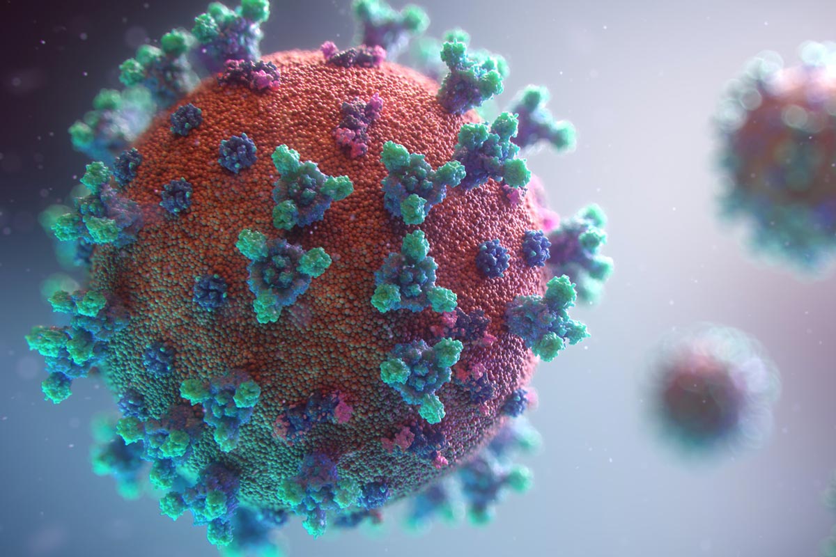 Photo by Fusion Medical Animation on Unsplash
