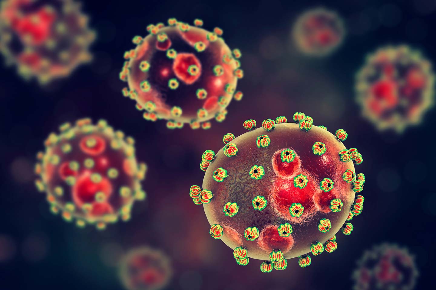 Lassa fever viruses, 3D illustration.