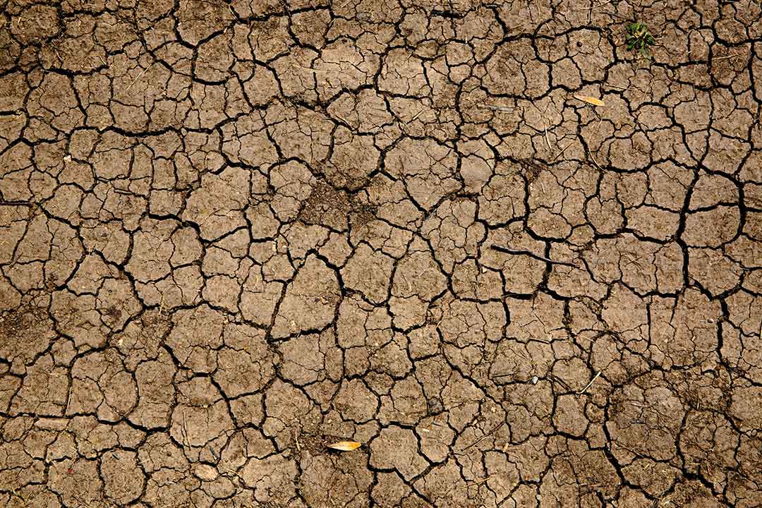Areal image of dried and cracked soil – Photo by Mike Erskine on Unsplash