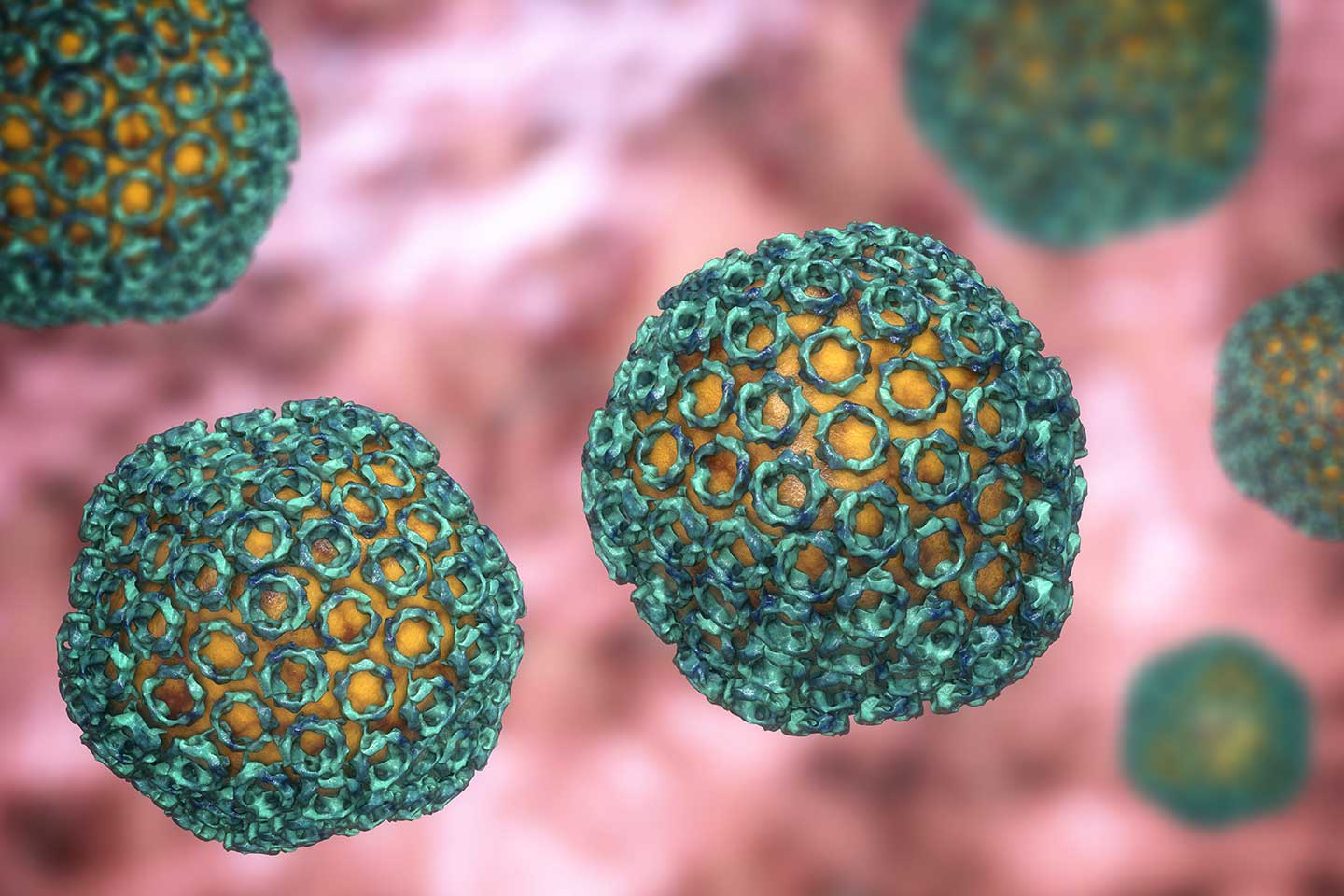 3D illustration of the Rift Valley virus