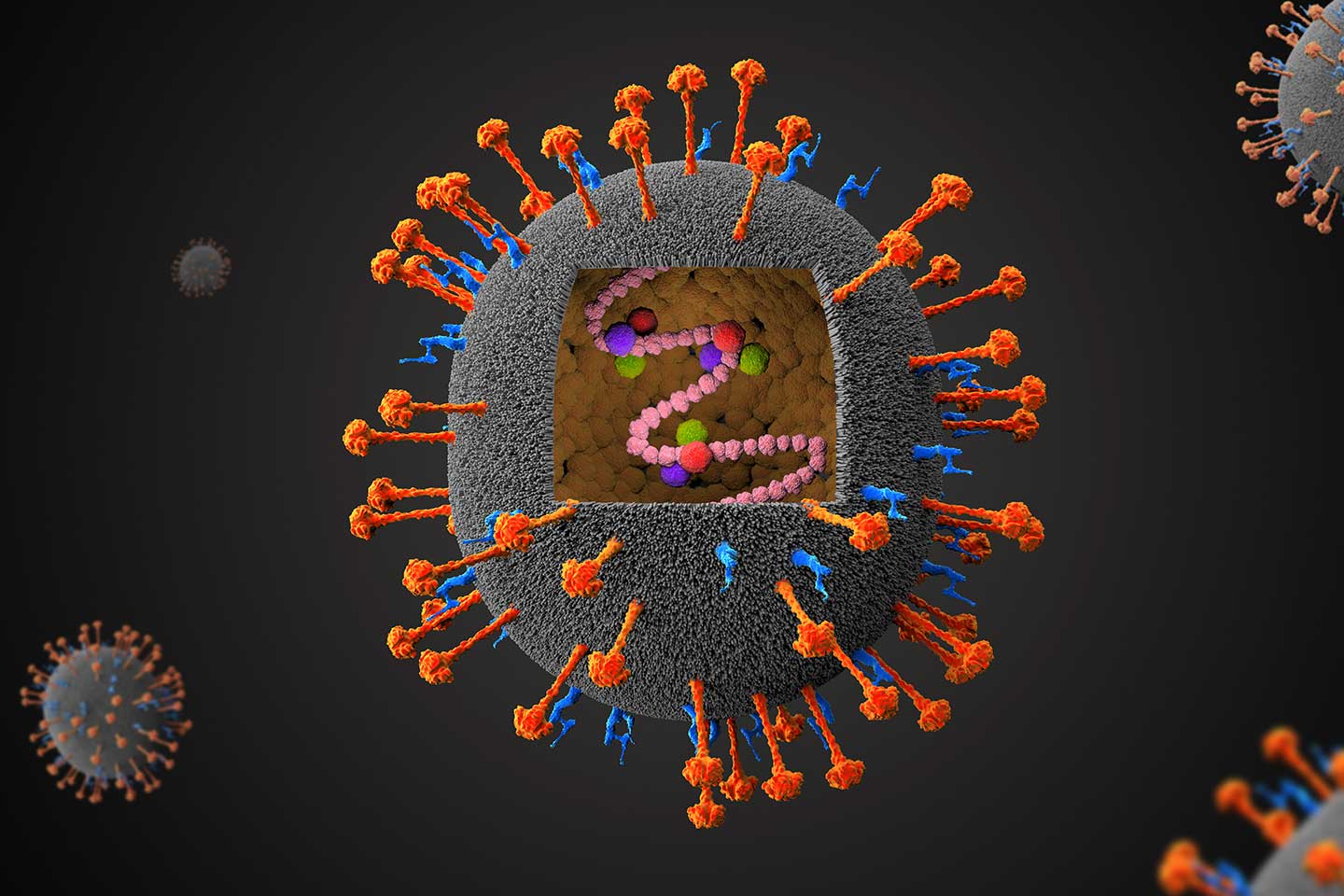 Nipah virus - 3D illustration