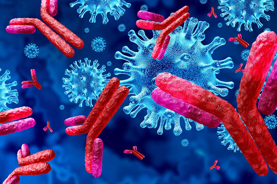 Antibodies 3D illustration