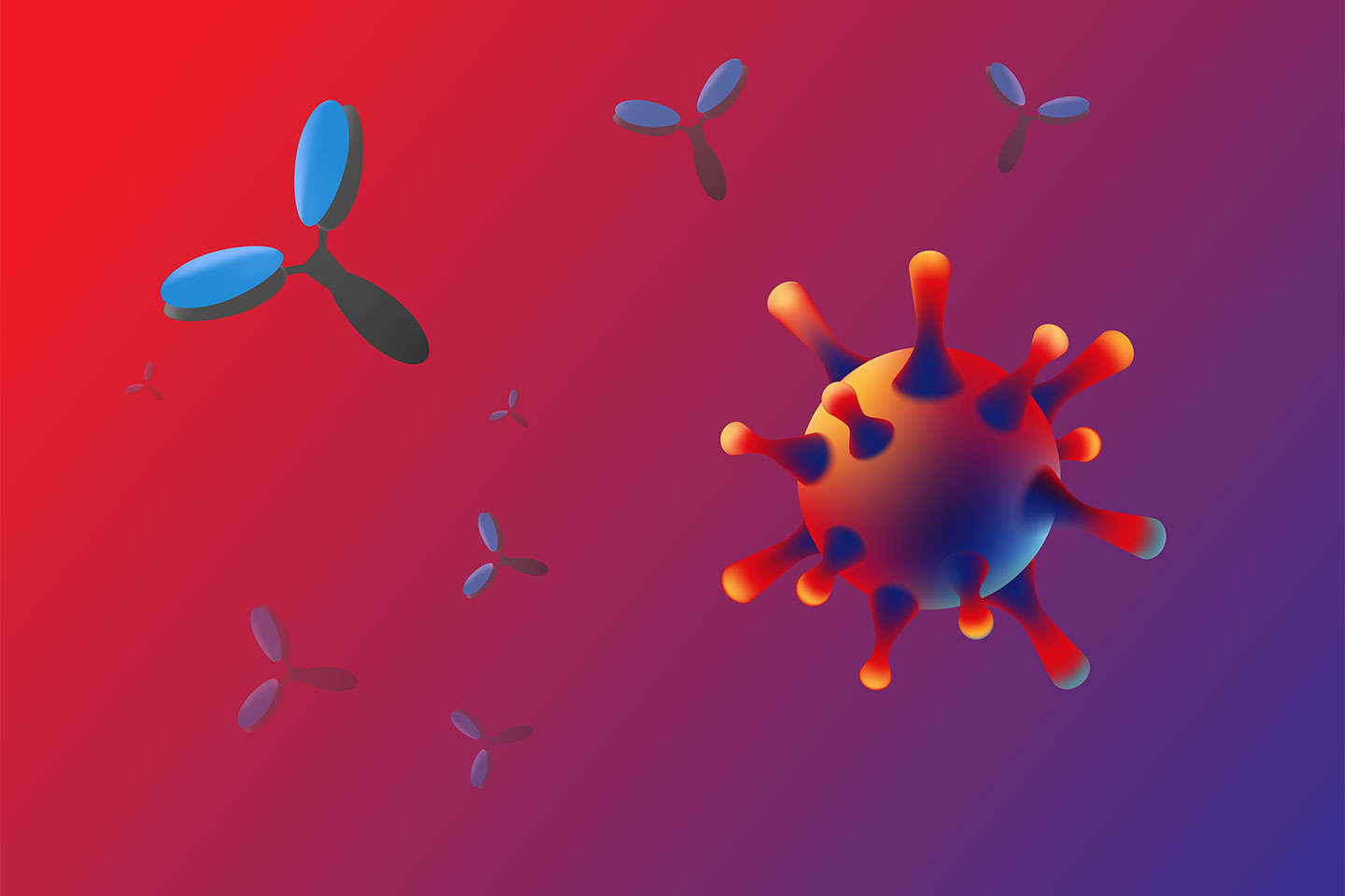 Monoclonal antibody helps reducing virus cells