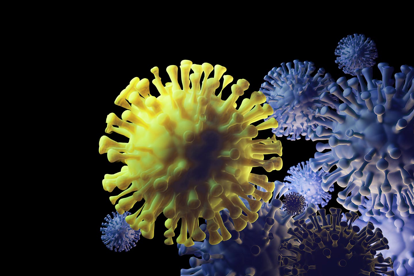 Coronavirus variant mutation