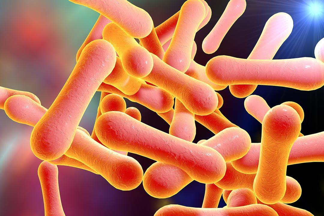 Microscopic illustration of Corynebacterium diphtheriae