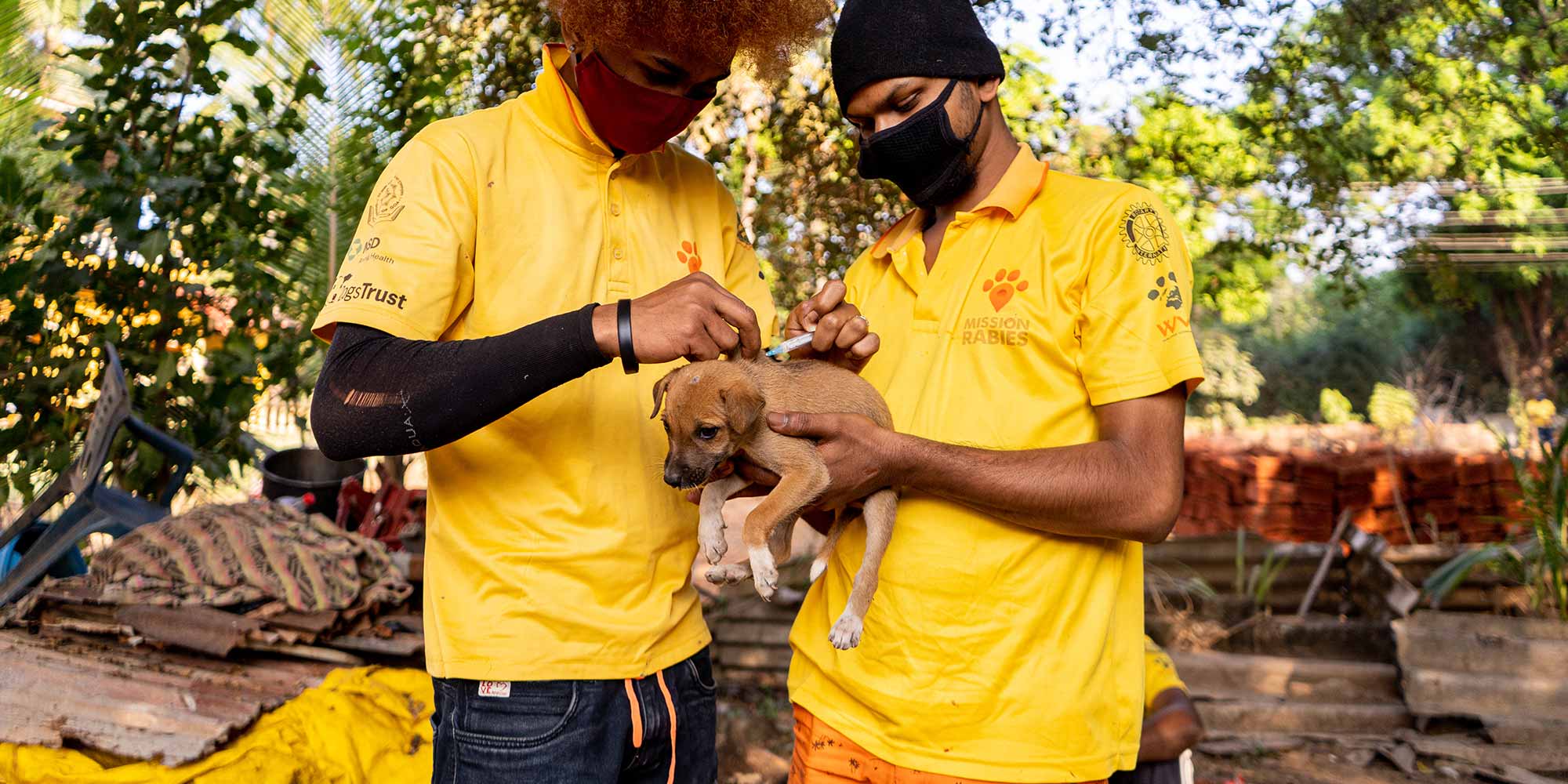 Canine vaccination. Credit: Mission Rabies