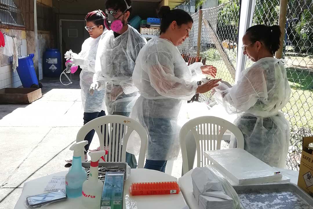 Epidemiology team. Photo by Hussein Khalil
