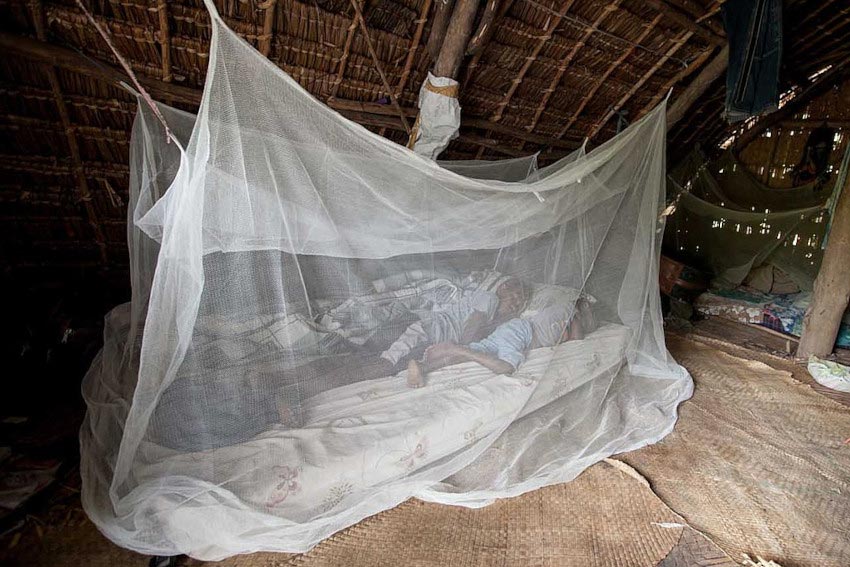COVID-19 prevented the distribution of insecticide-treated mosquito nets in some countries. Copyright: Department of Foreign Affairs and Trade. (CC BY 2.0).