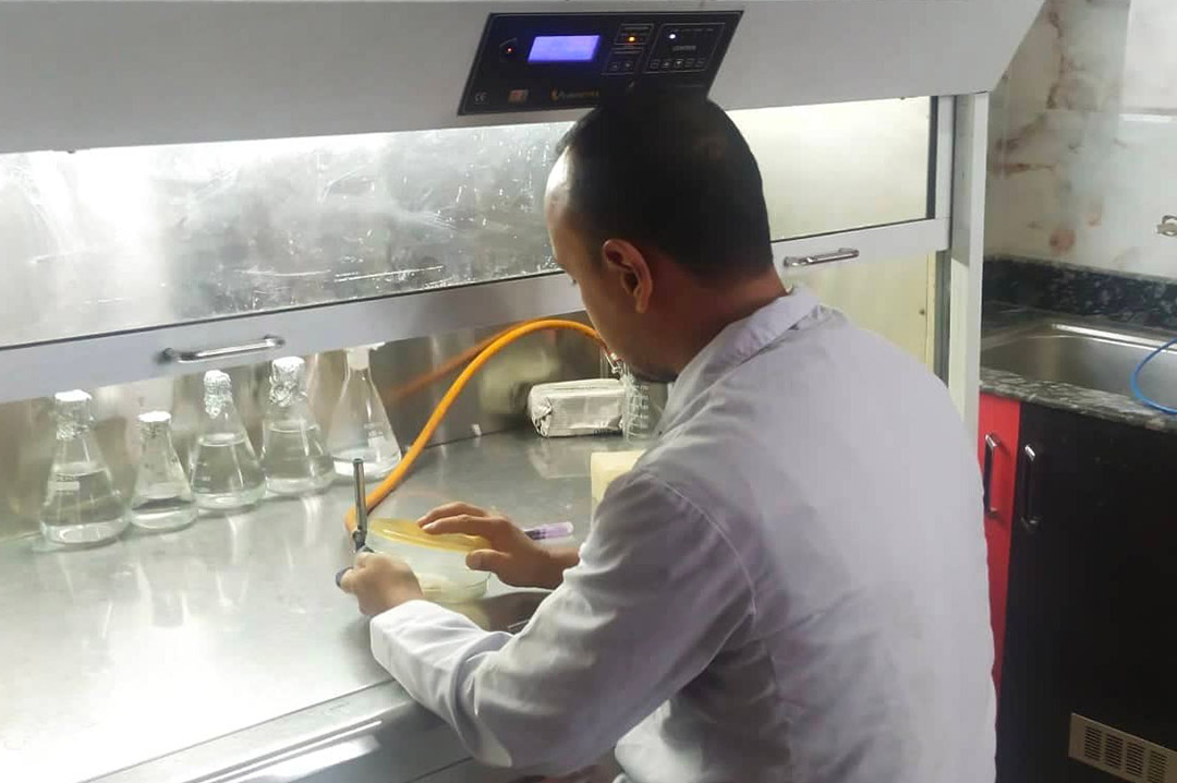 Mitesh Shrestha, researcher at the Research Institute for Bioscience and Biotechnology (RIBB), Balkumkari, Nepal. Credit: Chhatra Karki