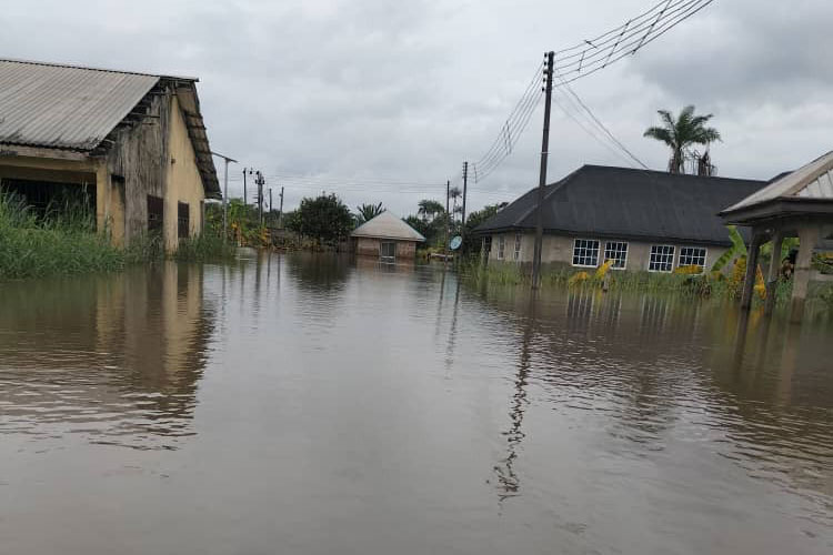 Parts of the Bayelsa community still submerged in water. Credit: Eric Dumo