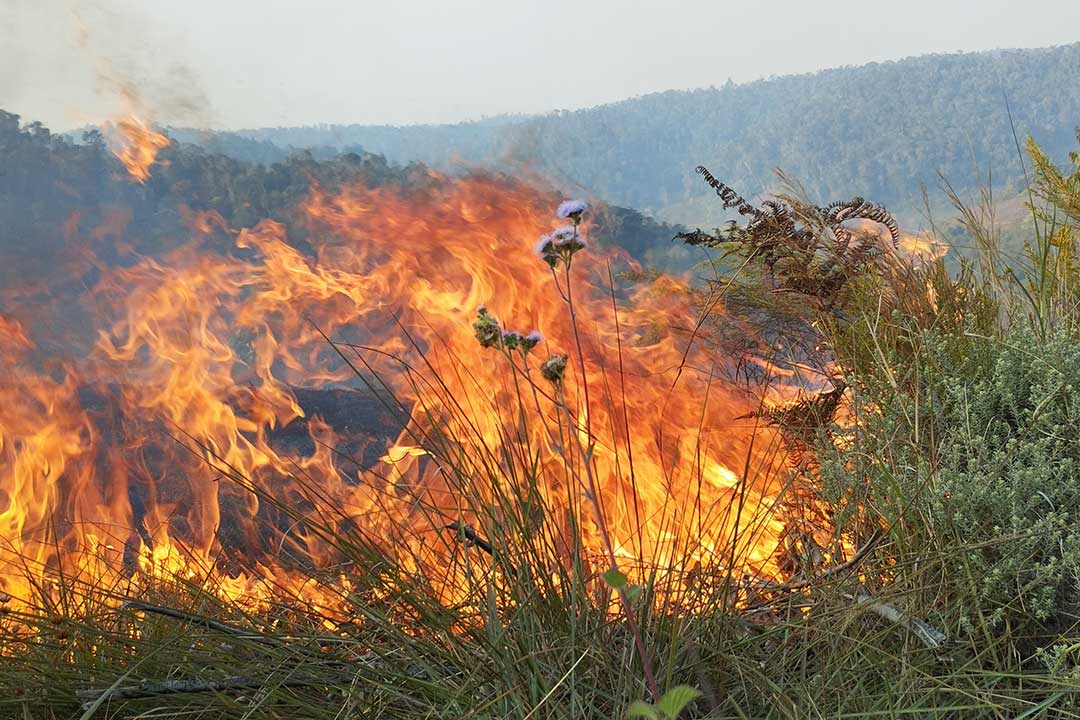 Madagascar connait une recrudescence des feux de brousse. Crédit : Rivonala Razafison