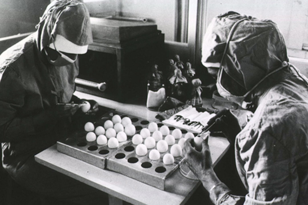 The preparation of measles vaccine using chicken eggs. WHO via Images from the History of Medicine (NLM)