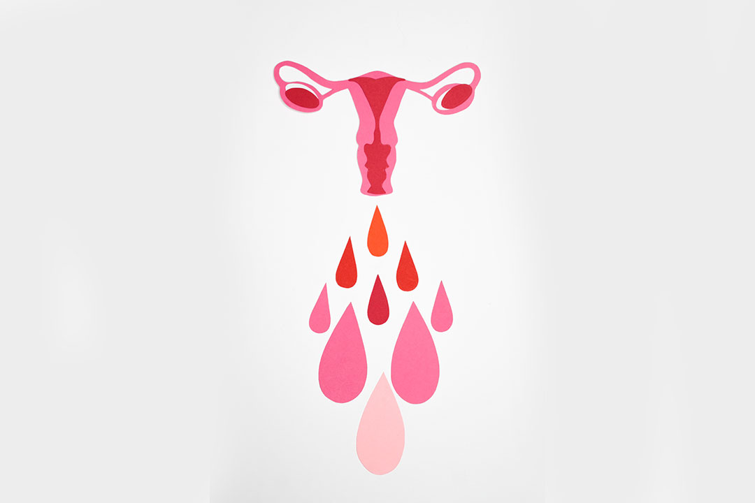 Illustration of a woman's reproductive system. Photo by Nadezhda Moryak from Pexels