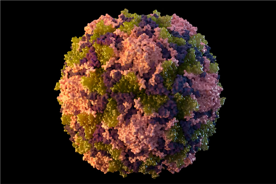 polio-conversation_h1.jpg polio-conversation_h1.jpg