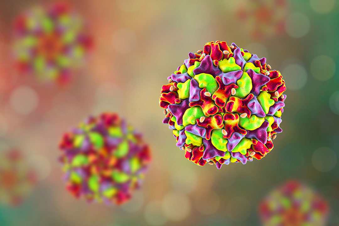 Crédit photo : Poliovirus, illustration en 3D