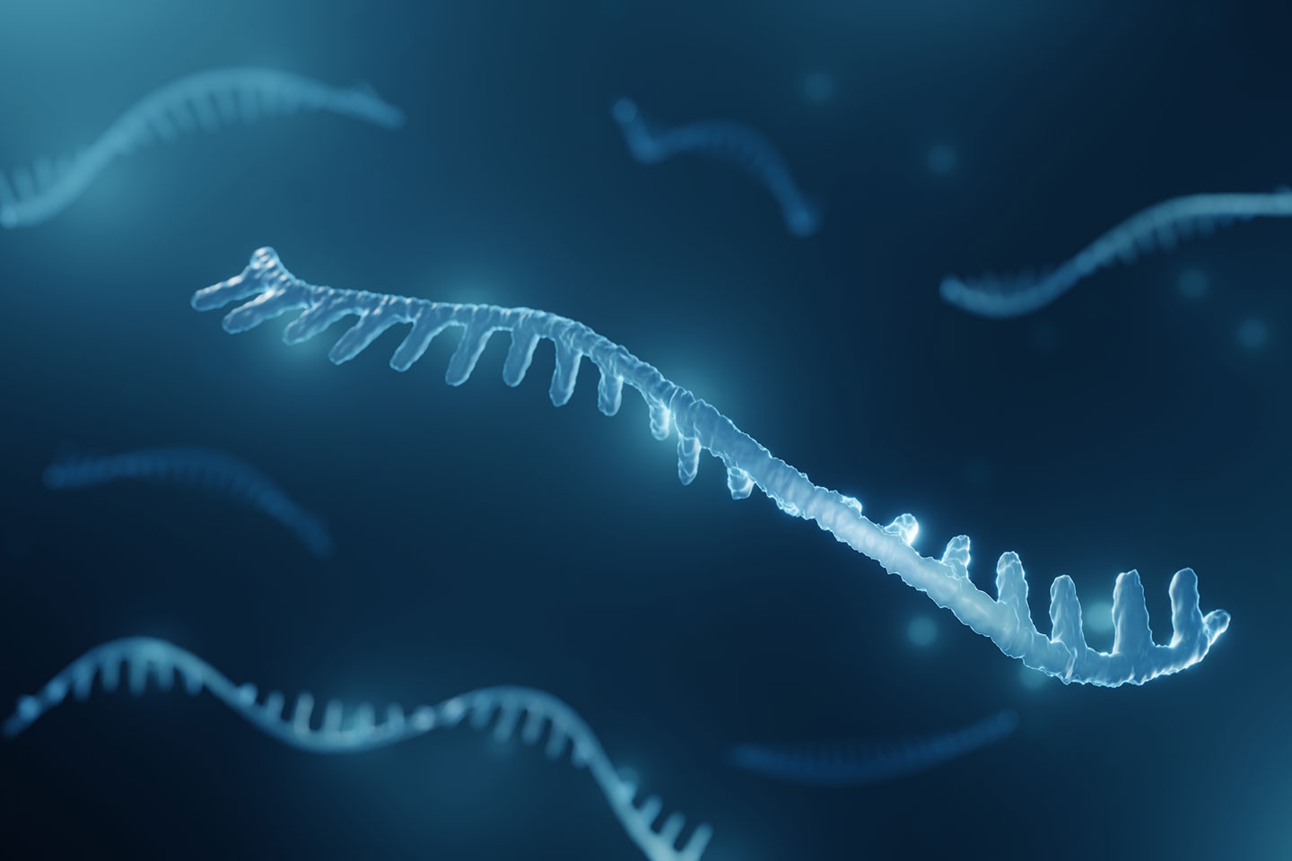 RNA strand – 3D illustration.