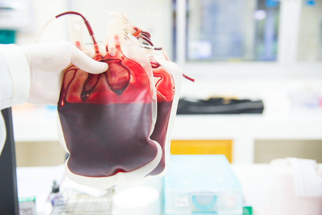 Blood bag obtained from blood donation.