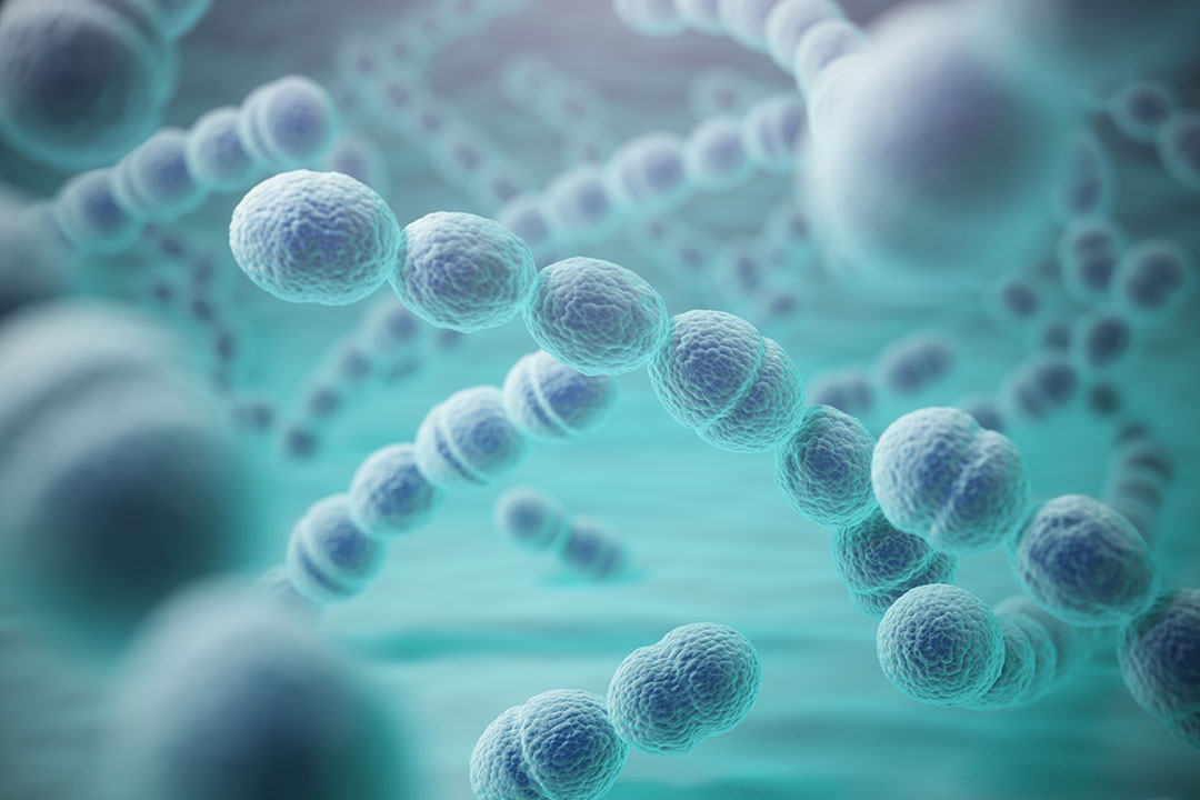 Streptococcus pneumoniae, 3D illustration