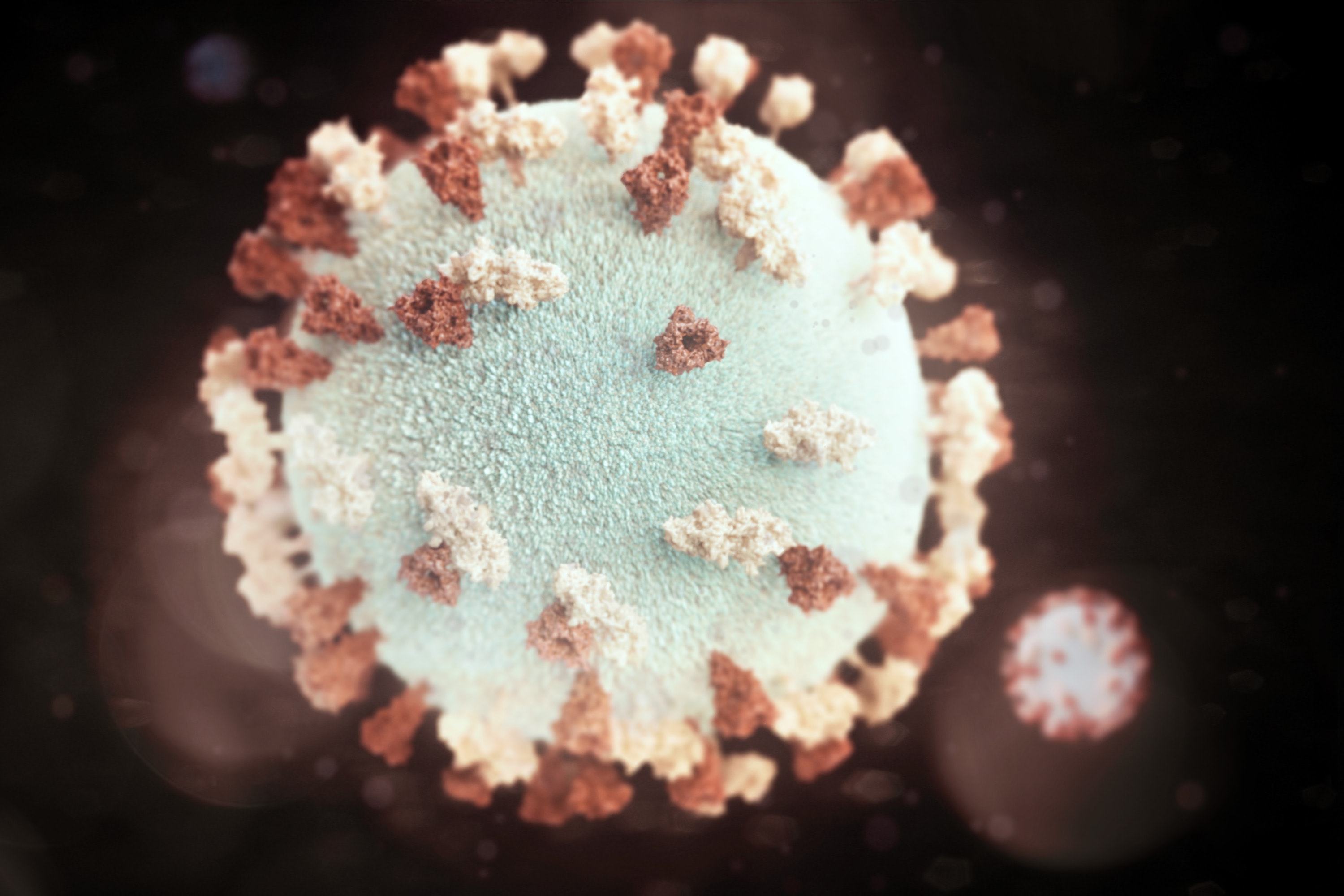 Le virus des oreillons. via Unsplash