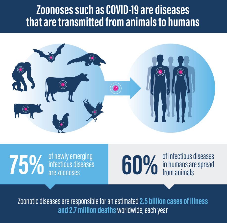 What are zoonotic diseases - and how dangerous are they?