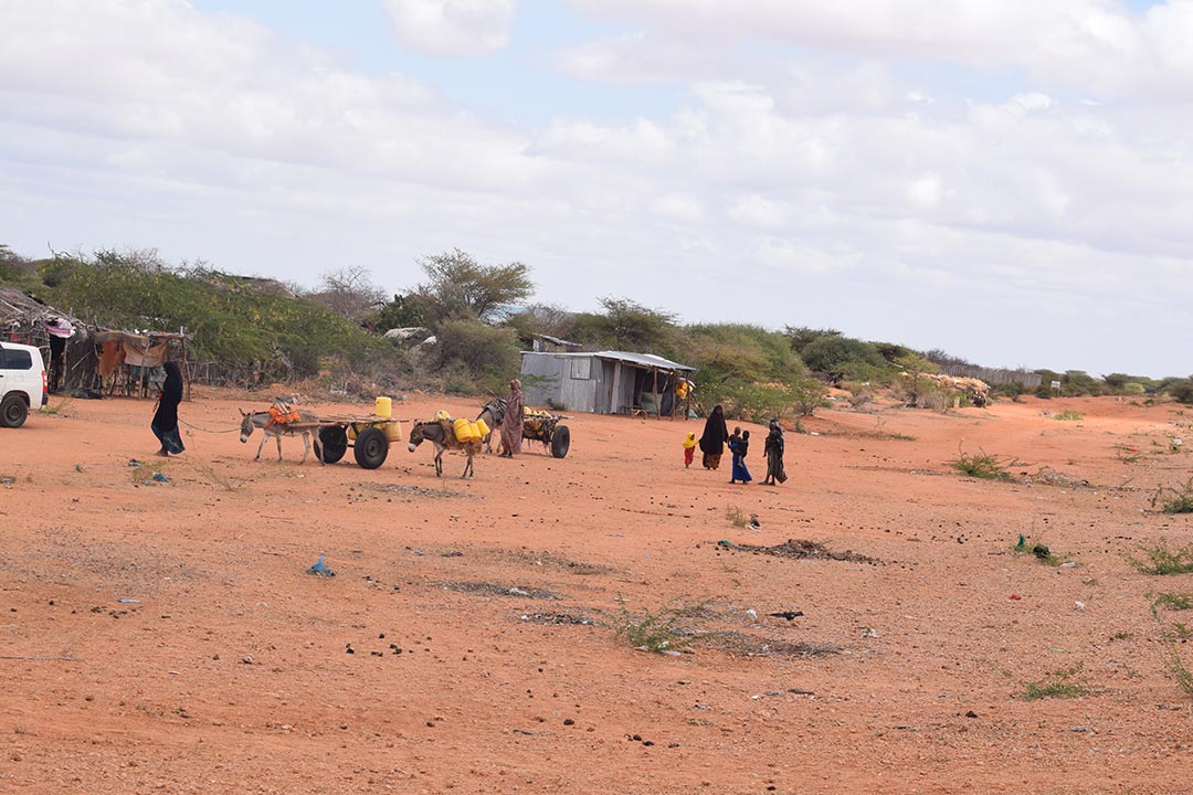 Women collecting water in the Kenya-Somalia border village of Alijungur. The village is one of the border towns that has benefited from immunisation education and vaccine administration. Credit: Abjata Khalif
