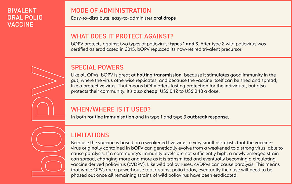 Bivalent oral polio vaccine