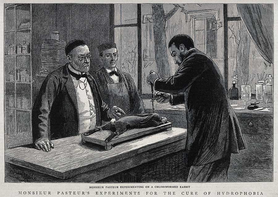 Louis Pasteur (left) watching a colleague trephining a chloroformed rabbit during his research on rabies vaccination. Wood engraving (?), 1885. Credit: Wellcome Collection. Public Domain Mark