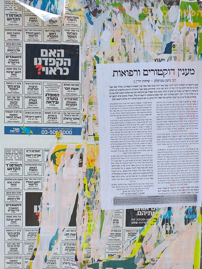 Photo by Ami Dabush.