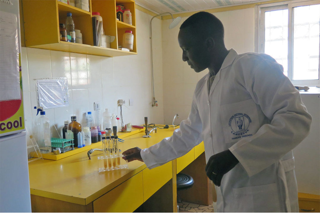 A scientist studies samples at the National Veterinary Laboratory (LANAVET) in Yaoundé, Cameroon. Researchers use advanced technology to detect zoonotic diseases and respond to them. Image by Laura Gil Martinez/IAEA via Flickr (CC BY-NC-ND 2.0).