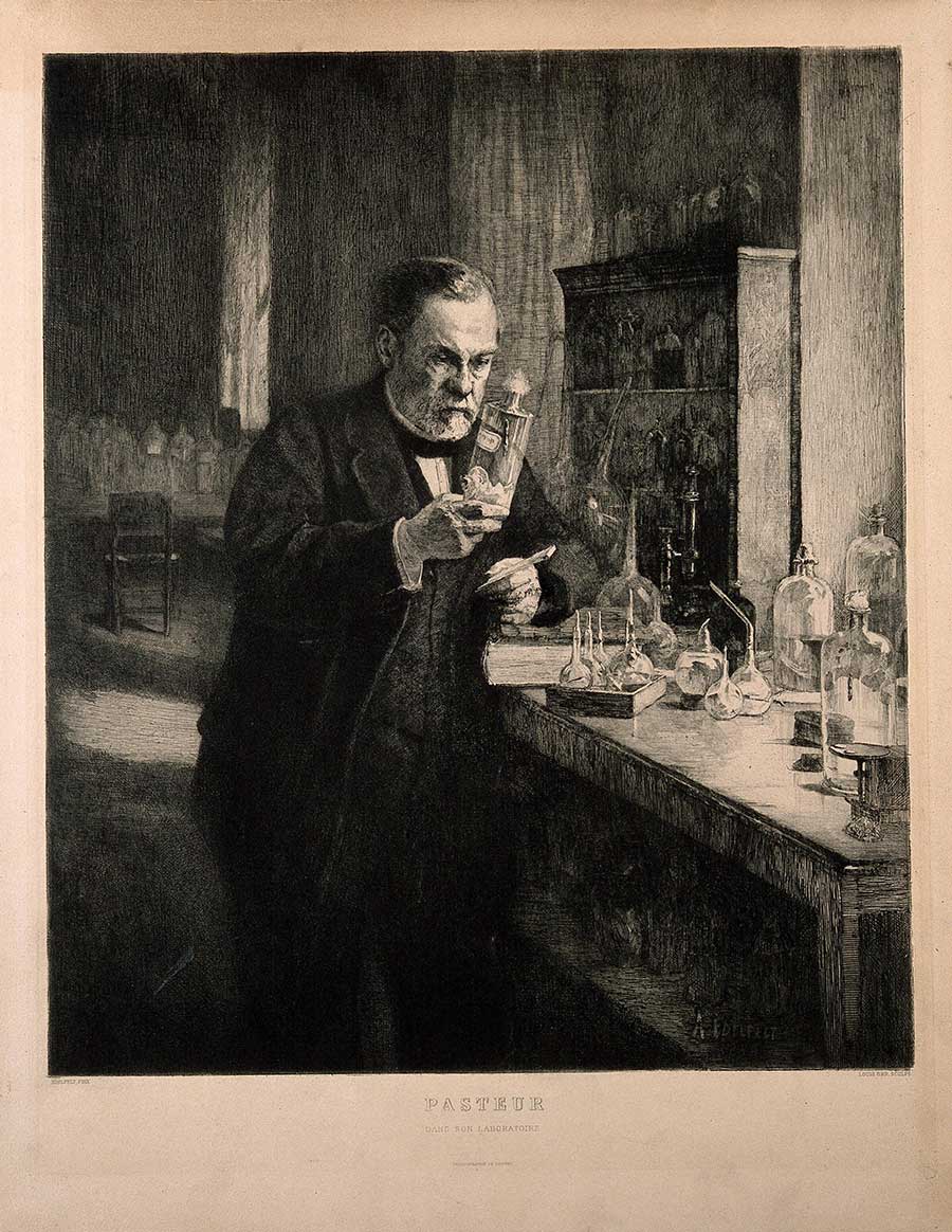 Louis Pasteur. Etching by L. Orr after A. G. A. Edelfelt, 1885. Credit: Wellcome Collection. Public Domain Mark