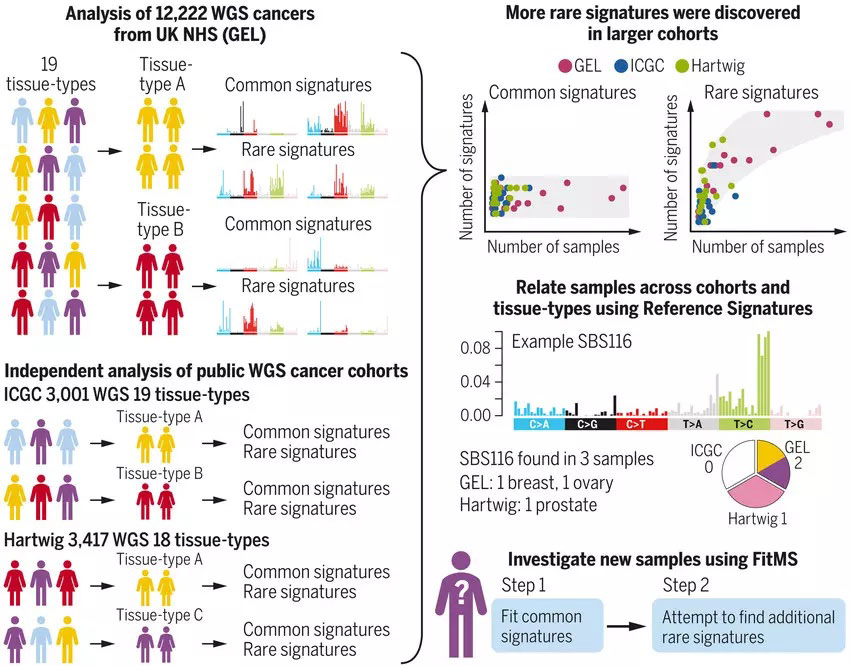 Scientists at Cambridge University Hospitals have sequenced the DNA of more than 12,000 cancer tumours to reveal new clues about the disease. Image: Science/Cambridge University Hospitals