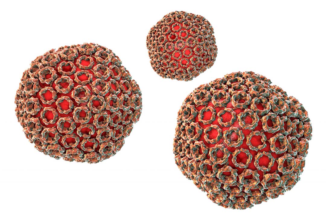 Rift Valley fever virus particles illustration. Credit: Kateryna Kon/science